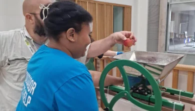 Student and staff participating in crushing apples to make apple juice