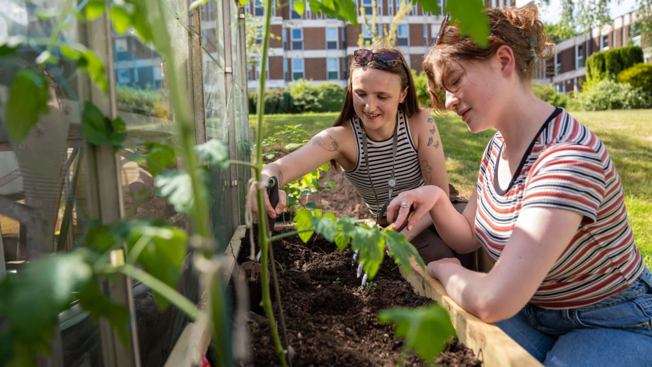 Students - greenhouse