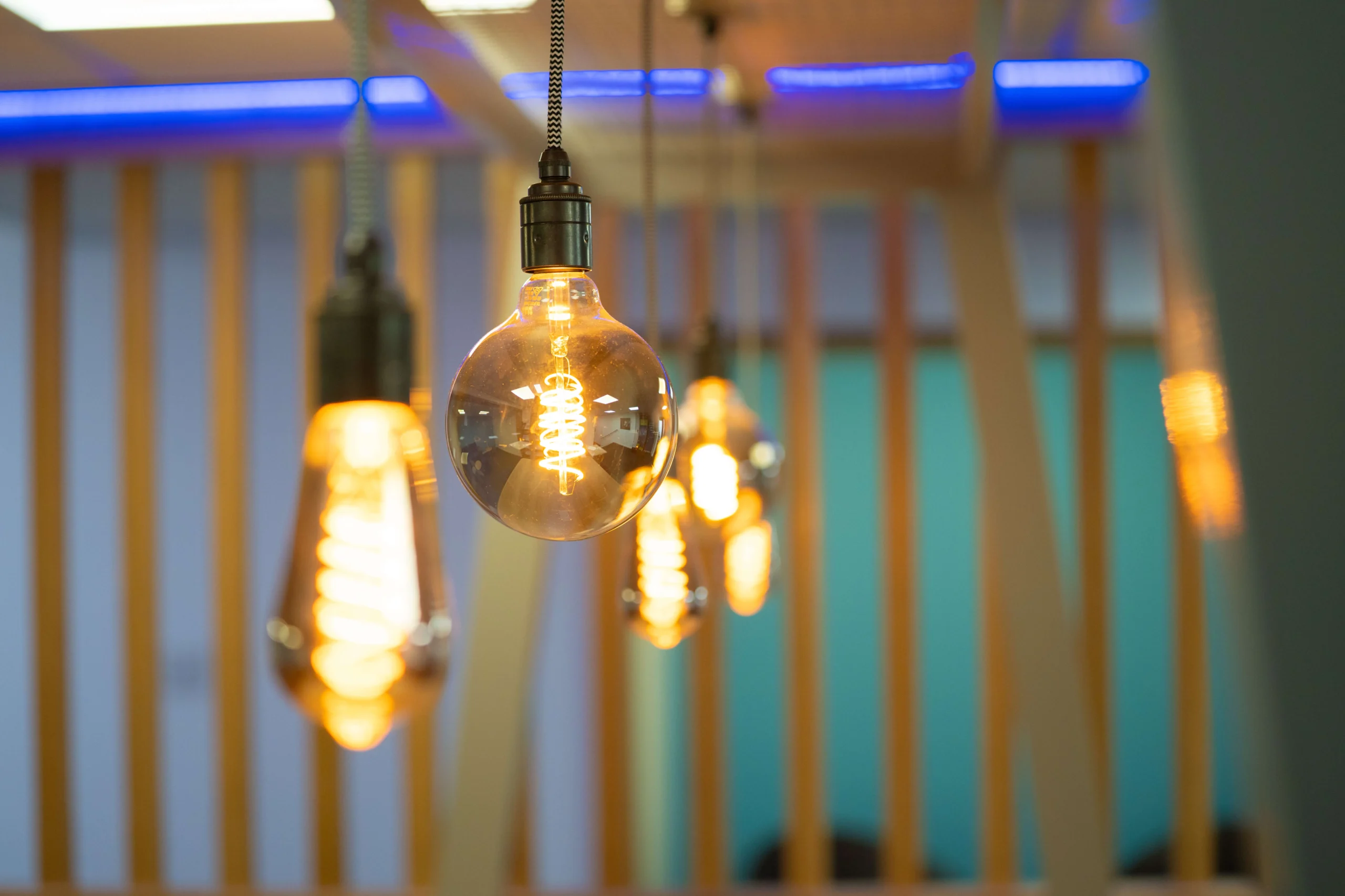 Light bulbs - study area
