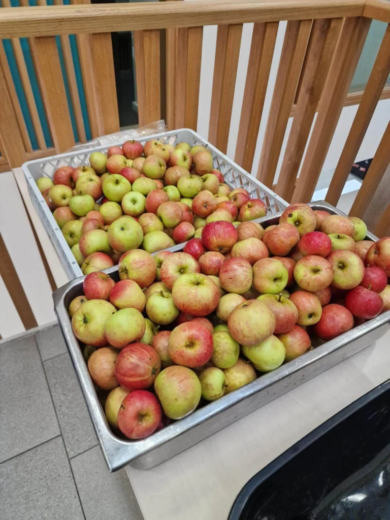 Apples on a table