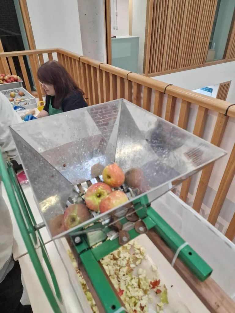 Apples being crushed